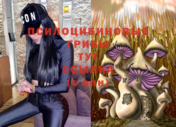 герыч Новодвинск