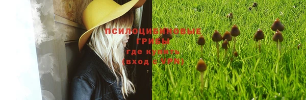 кристаллы Новозыбков