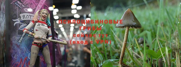 кристаллы Новозыбков