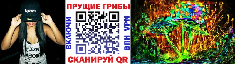 Галлюциногенные грибы Psilocybine cubensis даркнет сайт маркетплейс формула Барнаул